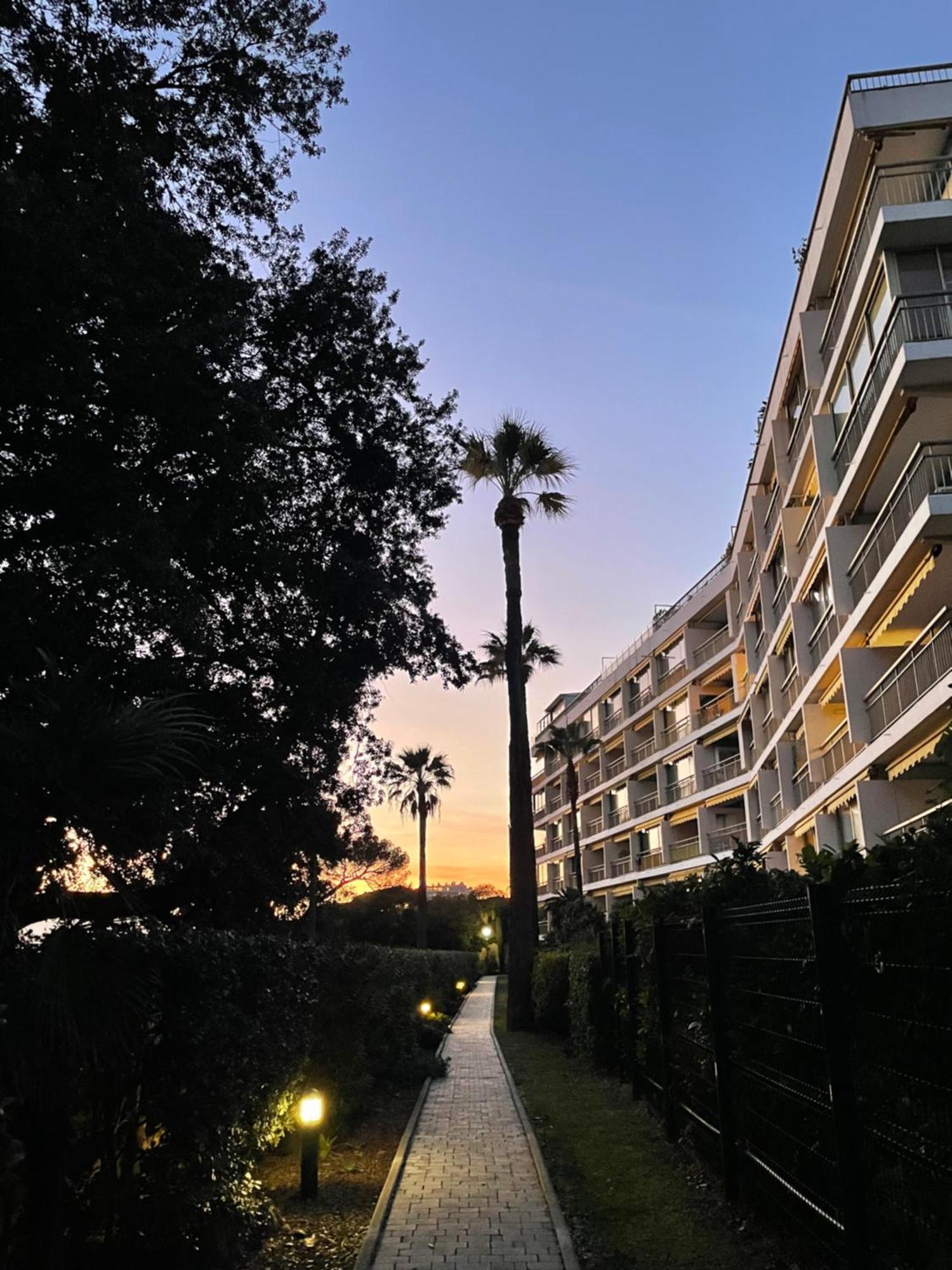 C037-Nice Studio With Garden And Parking - Near Beach Cannes Dış mekan fotoğraf